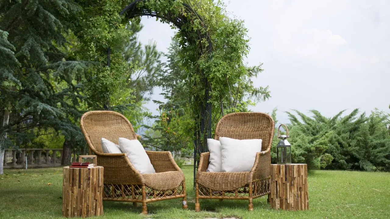 Allontana gli insetti in tre mosse: ecco cosa fare in giardino Allontana gli insetti in tre mosse: ecco cosa fare in giardino