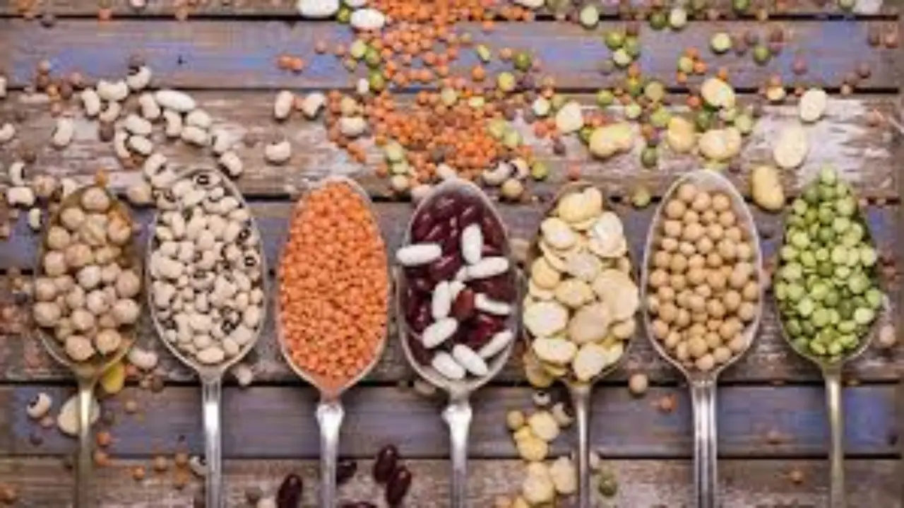 Legumi e semi oleosi: gli alleati da integrare subito contro la stitichezza estiva Legumi e semi oleosi: gli alleati da integrare subito contro la stitichezza estiva