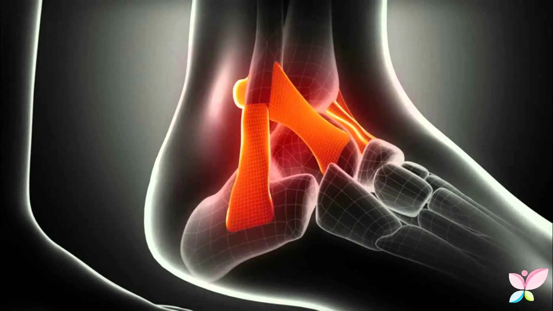 Trova subito come proteggere le tue articolazioni con questi alimenti anti-infiammatori Trova subito come proteggere le tue articolazioni con questi alimenti anti-infiammatori