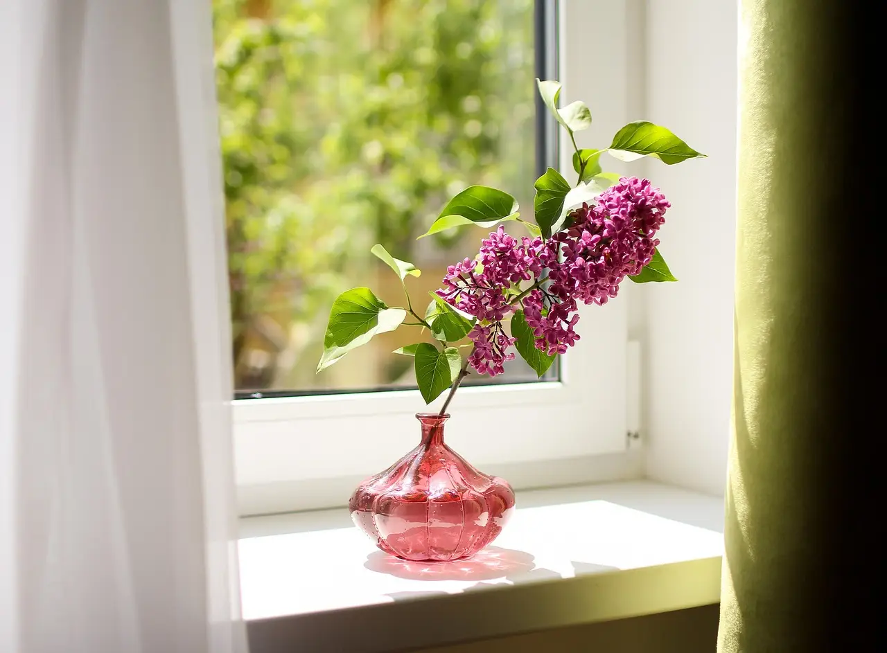 Come profumare la casa in modo naturale: scopri i benefici di bruciare le foglie aromatiche Come profumare la casa in modo naturale: scopri i benefici di bruciare le foglie aromatiche
