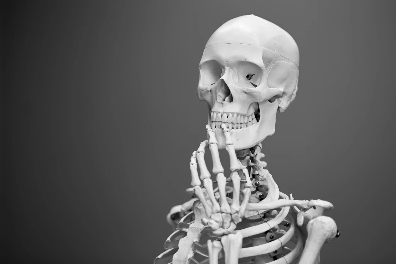 Osteoporosi: strategie efficaci per rallentare la perdita di massa ossea e migliorare la salute delle ossa Osteoporosi: strategie efficaci per rallentare la perdita di massa ossea e migliorare la salute delle ossa