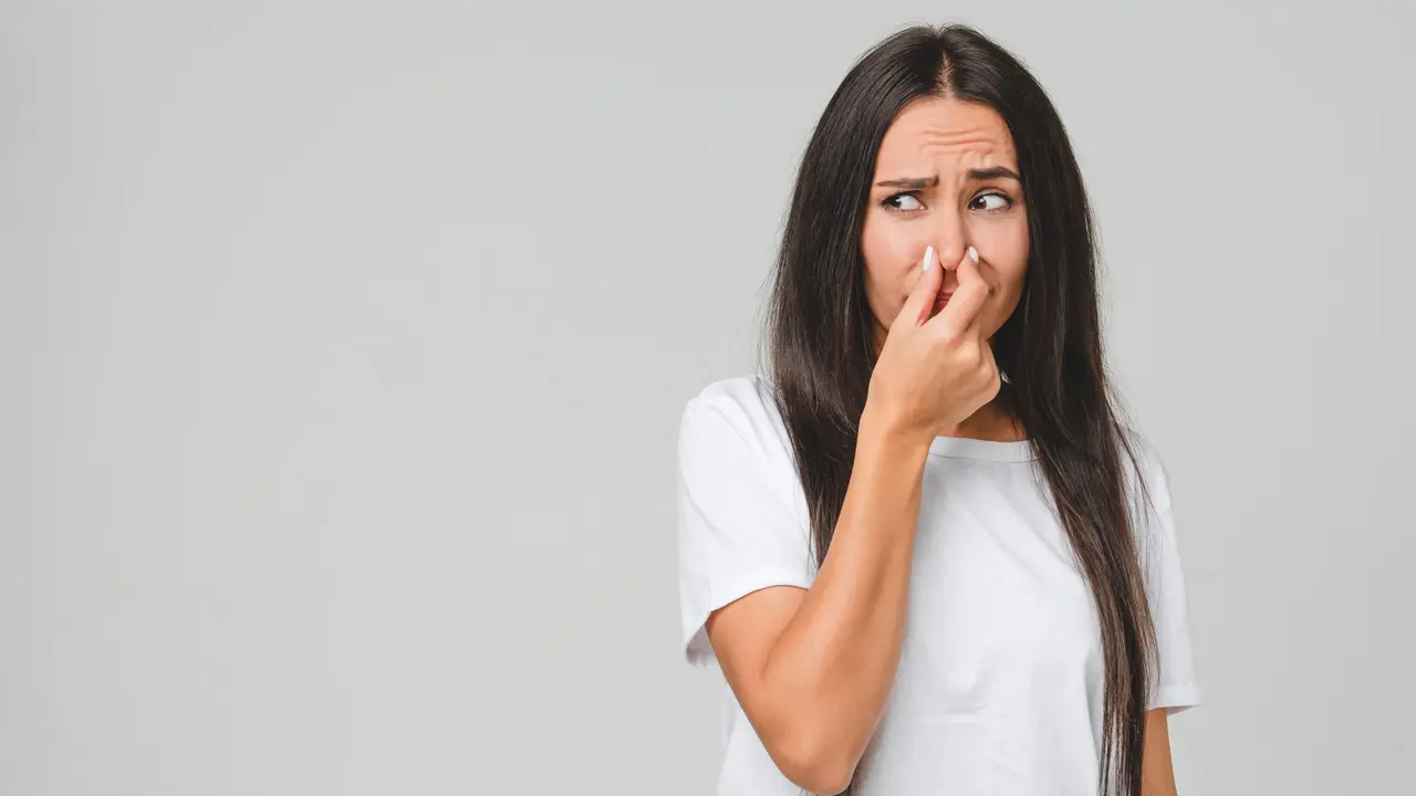 Odore di cantina in casa: cause, rimedi naturali e consigli per un ambiente più sano Odore di cantina in casa: cause, rimedi naturali e consigli per un ambiente più sano