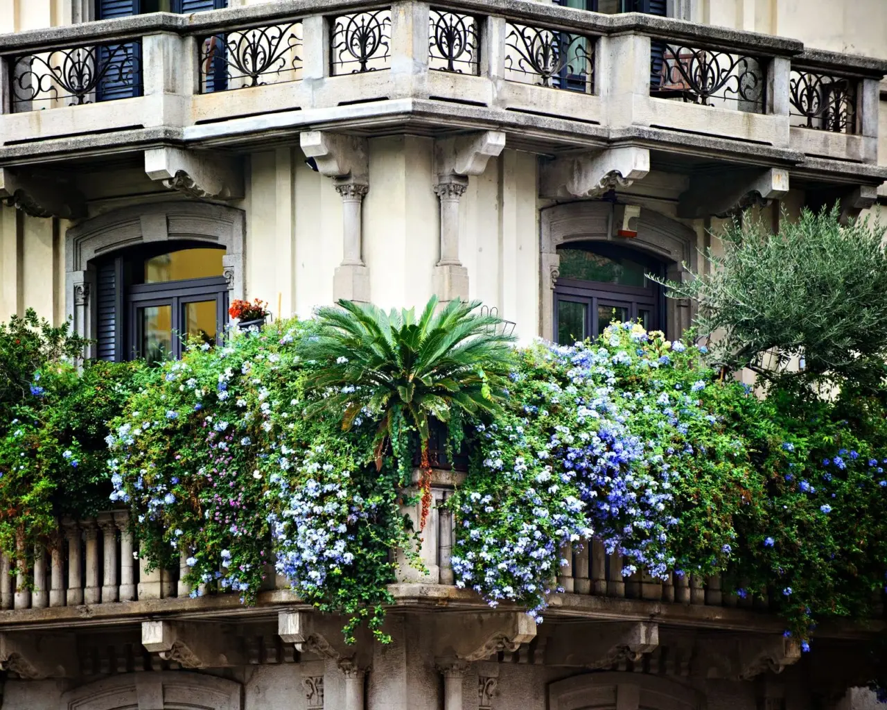 Coltivare fiori resistenti alla siccità: trasformazione facile del balcone urbano Coltivare fiori resistenti alla siccità: trasformazione facile del balcone urbano