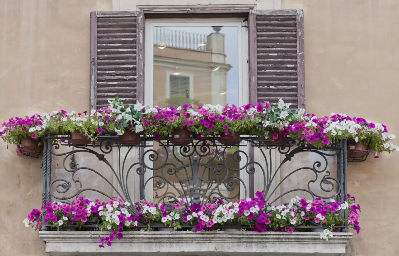 Coltivare fiori resistenti alla siccità: trasformazione facile del balcone urbano Coltivare fiori resistenti alla siccità: trasformazione facile del balcone urbano
