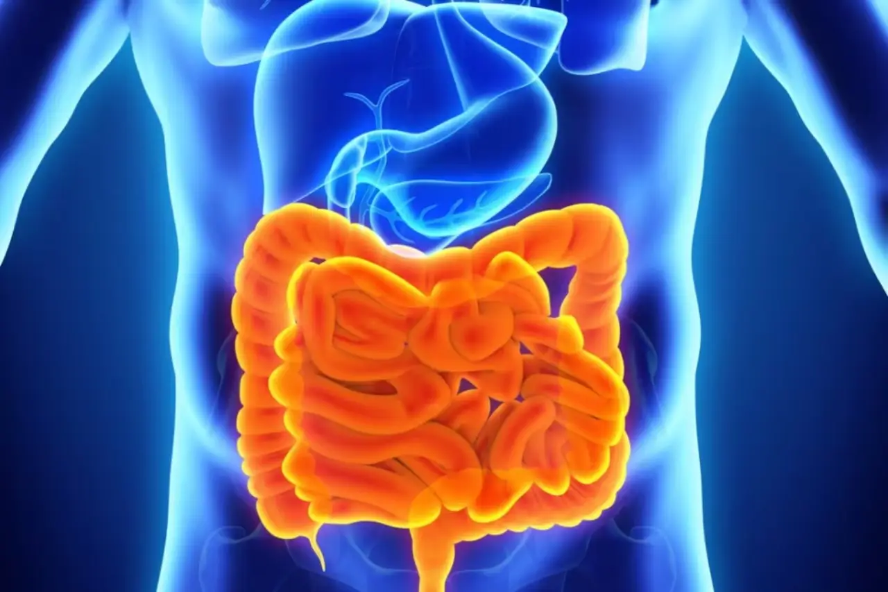 Scopri i benefici dell’avena integrale per favorire la regolarità intestinale Scopri i benefici dell’avena integrale per favorire la regolarità intestinale