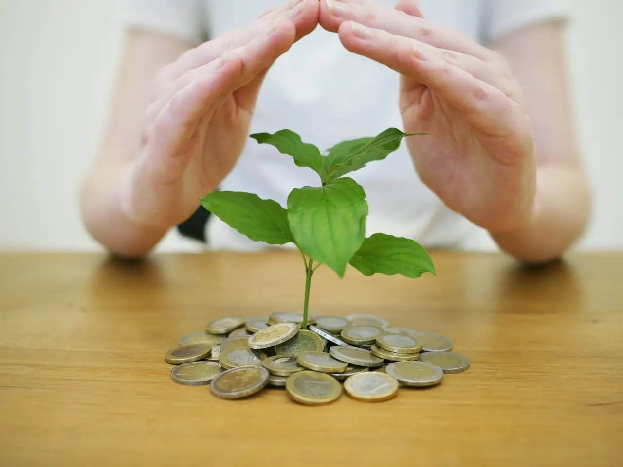 Ottenere rendite sicure con i nuovi strumenti di investimento postali per nuovi risparmiatori Ottenere rendite sicure con i nuovi strumenti di investimento postali per nuovi risparmiatori