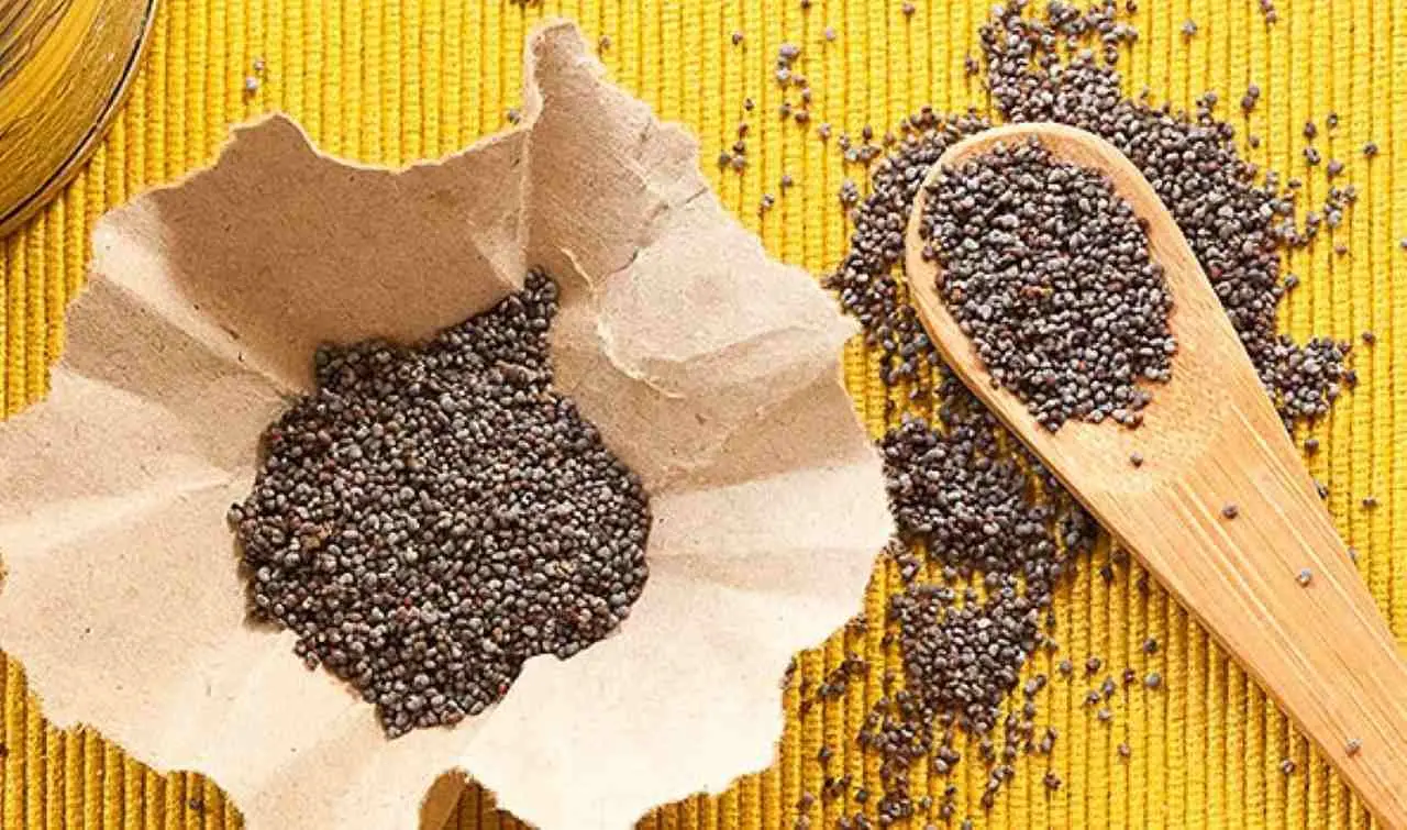Scopri l’ingrediente naturale che può migliorare la memoria secondo la ricerca Scopri l’ingrediente naturale che può migliorare la memoria secondo la ricerca