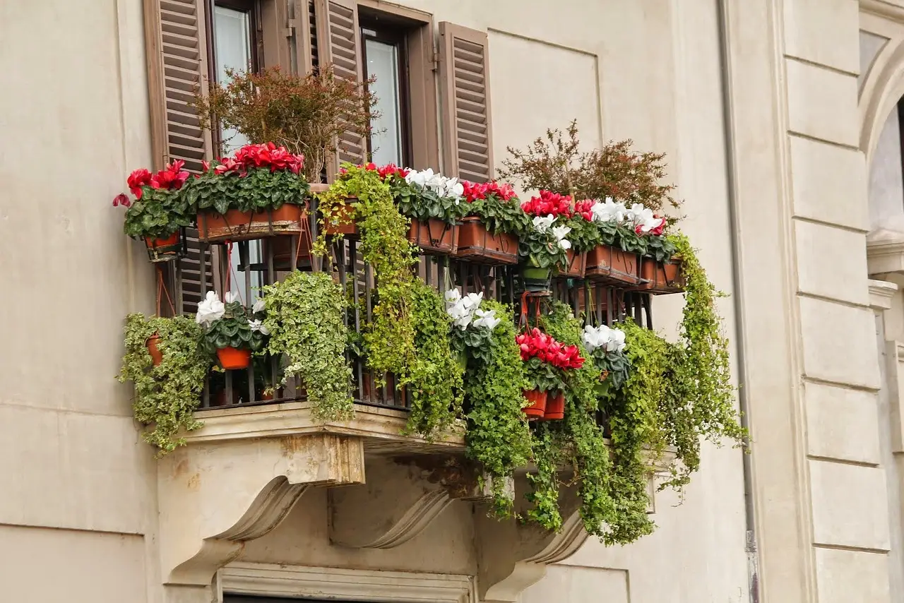 Come scegliere la rampicante perfetta per ombreggiare terrazzi e balconi piccoli Come scegliere la rampicante perfetta per ombreggiare terrazzi e balconi piccoli