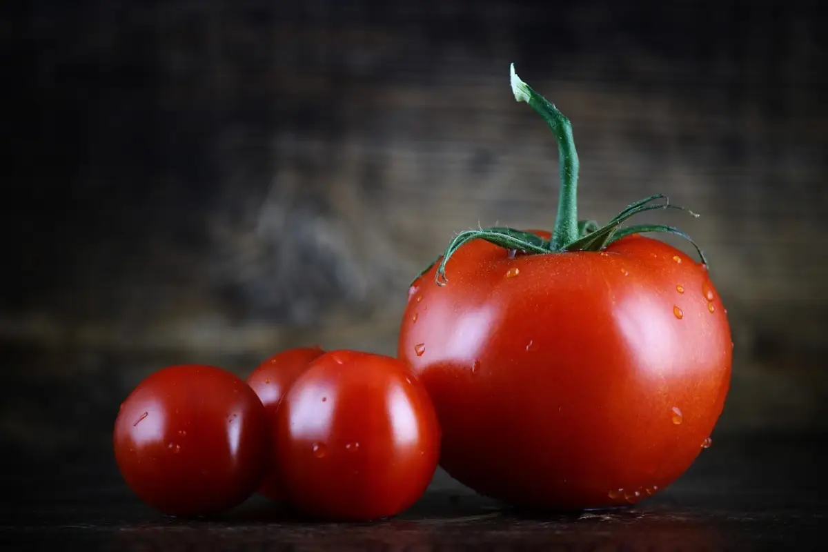 Scopri perché alcuni pomodori peggiorano i sintomi dell’artrite reumatoide Scopri perché alcuni pomodori peggiorano i sintomi dell’artrite reumatoide